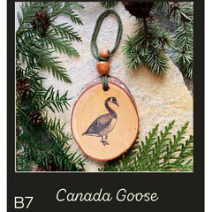 Car & Room Diffusers- Wildlife/ Birds/ Bugs