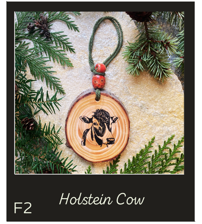Car & Room Diffusers- Farm/ Marine/ Sayings/ Novelty
