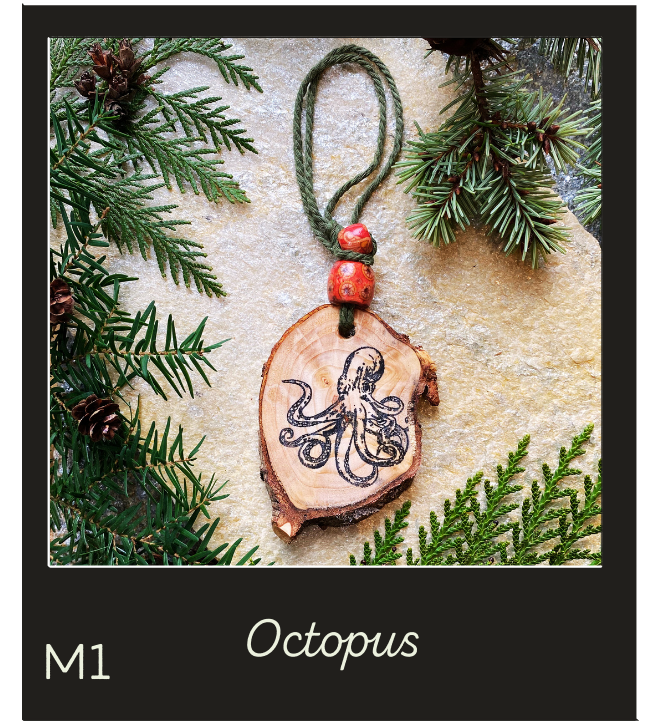 Car & Room Diffusers- Farm/ Marine/ Sayings/ Novelty
