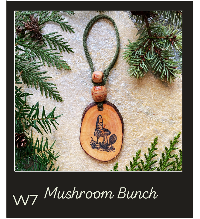 Car & Room Diffusers- Wildlife/ Birds/ Bugs
